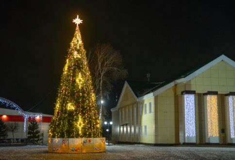 Новогодняя ель 12м п. Добринский.-1