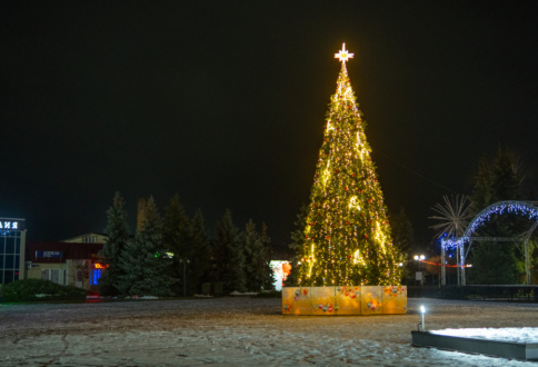 Новогодняя ель 12м п. Добринский.-1