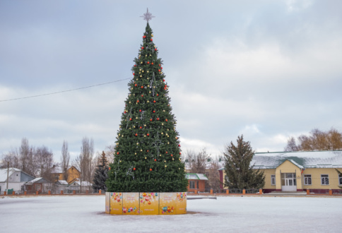 Новогодняя ель 12м п. Добринский.-1